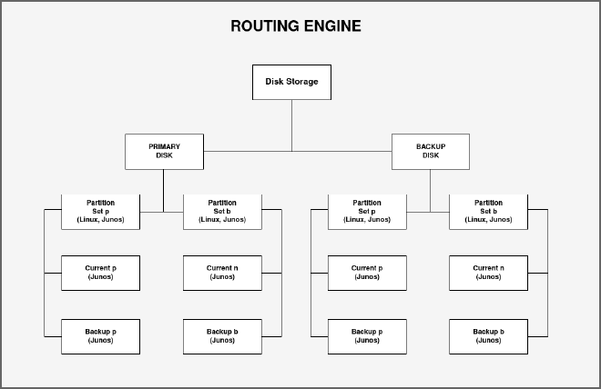 Internal Disk Storage of Routing Engine